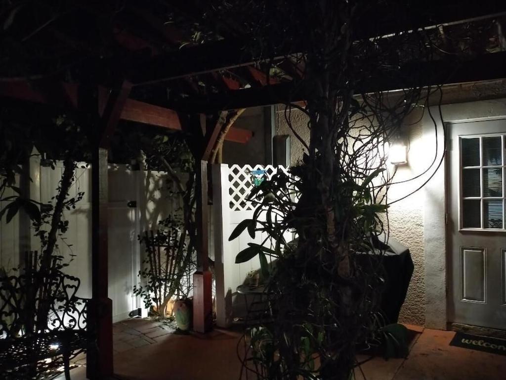 Tampa Bay Beautiful Apartment And Private Jacuzzi Εξωτερικό φωτογραφία