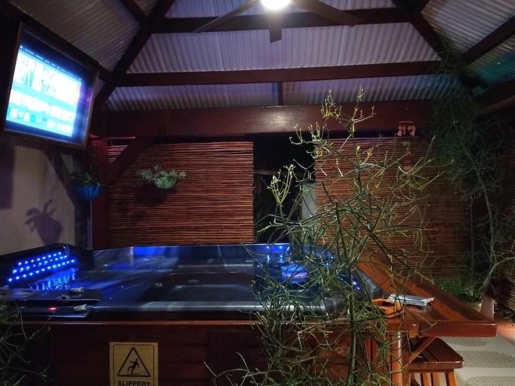 Tampa Bay Beautiful Apartment And Private Jacuzzi Εξωτερικό φωτογραφία
