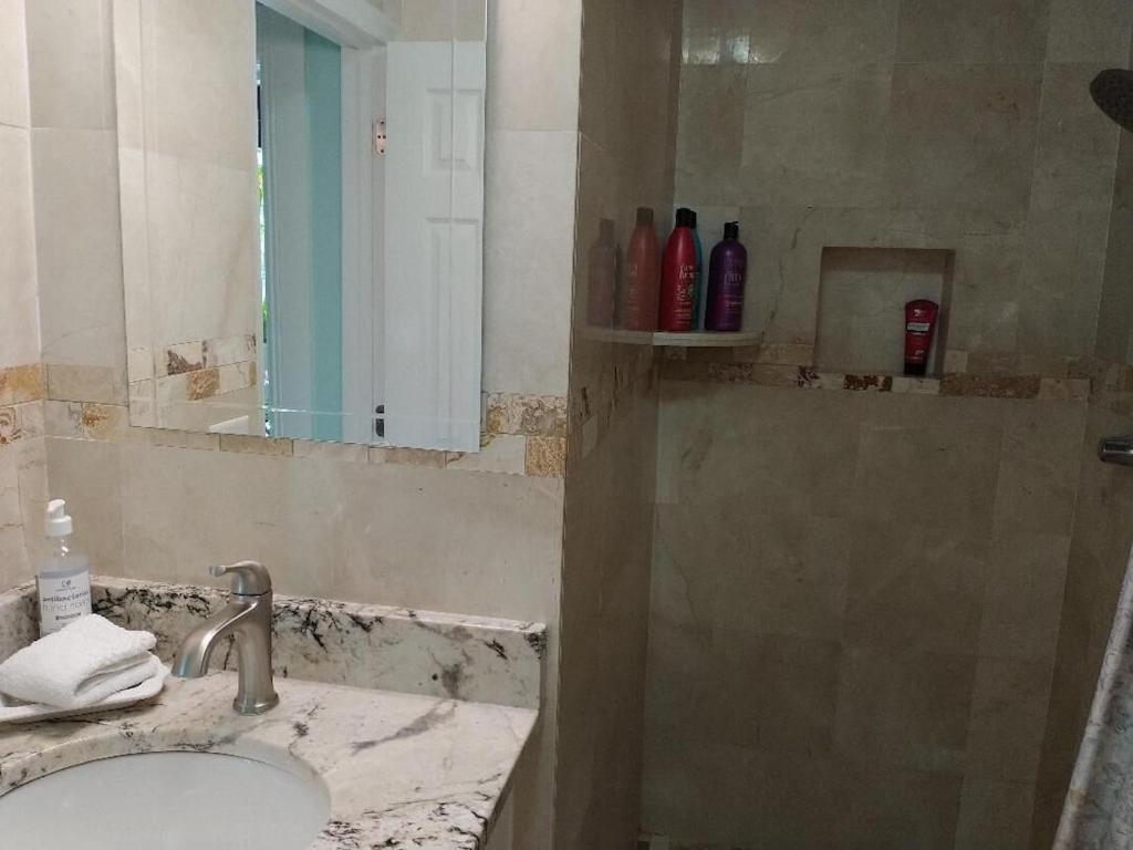 Tampa Bay Beautiful Apartment And Private Jacuzzi Εξωτερικό φωτογραφία