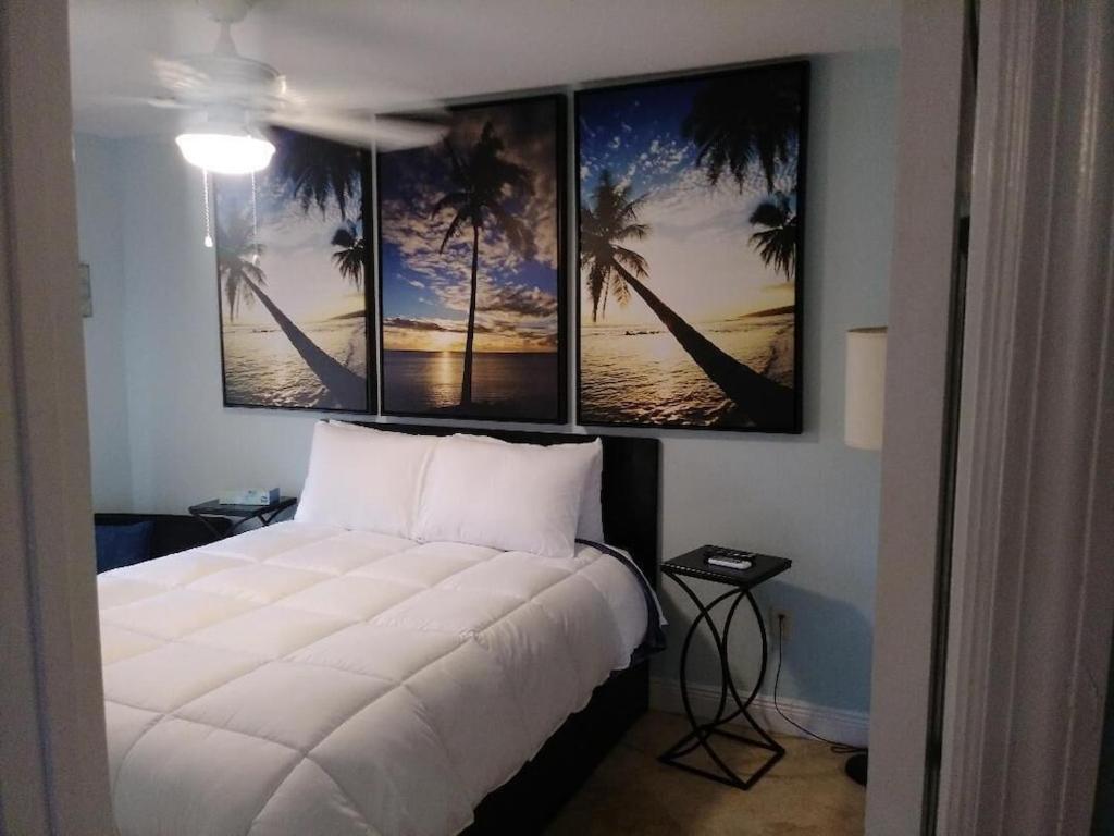 Tampa Bay Beautiful Apartment And Private Jacuzzi Εξωτερικό φωτογραφία